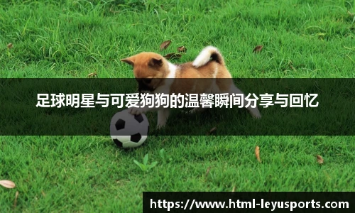 乐鱼体育官方网站